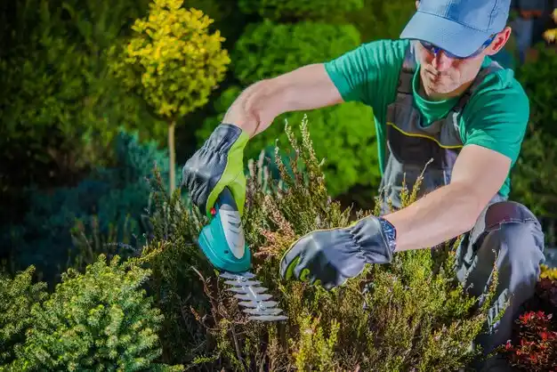 landscaping services Bardwell